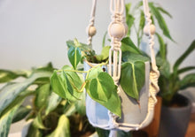 Load image into Gallery viewer, Macrame plant hanger